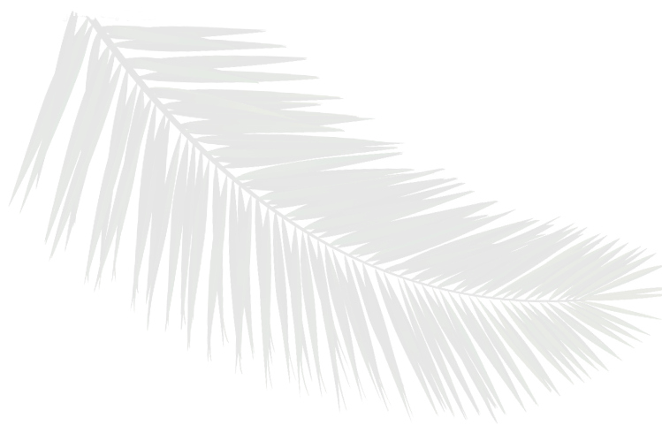 Feuille